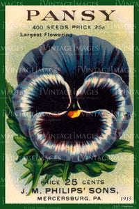 Pansy Flower Seeds 1915 - 009