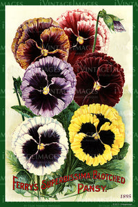 Ferry Flower Seeds 1895 - 010