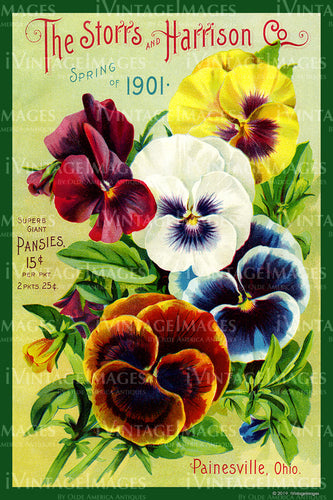 Storrs and Harrison Flower Seeds 1901 - 013