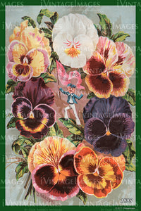 Vicks Flower Seeds 1895 - 015