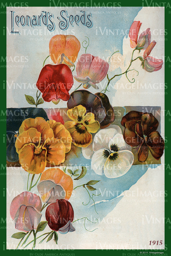 Leonards Flower Seeds 1915 - 016