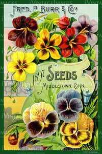 Fred Burr Flower Seeds 1897 - 017
