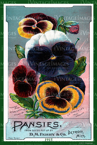 Ferry Flower Seeds 1915 - 019
