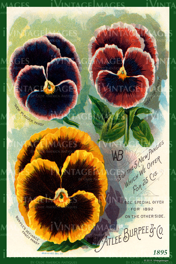 vintage burpee seed packets
