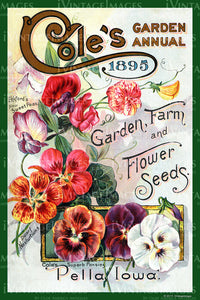 Coles Flower Seeds 1895 - 036