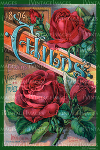 Childs Flower Seeds 1896 - 025