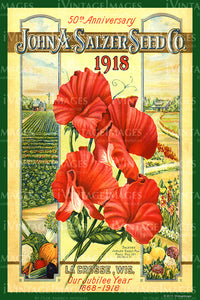 John Salzer Flower Seeds 1918 - 033