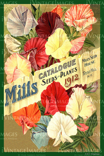 Mills Flower Seeds 1912 - 035