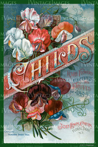 Childs Flower Seeds 1895 - 040