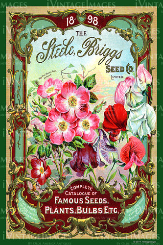 Steel Briggs Flower Seeds 1898 - 042