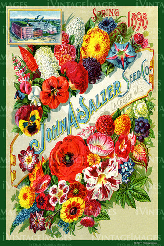 John Salzer Flower Seeds 1898 - 044
