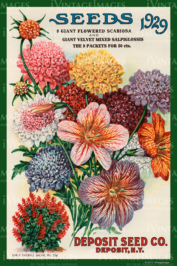 Deposit Flower Seeds 1929 - 046