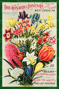 Conard Jones Flower Seeds 1897 - 051