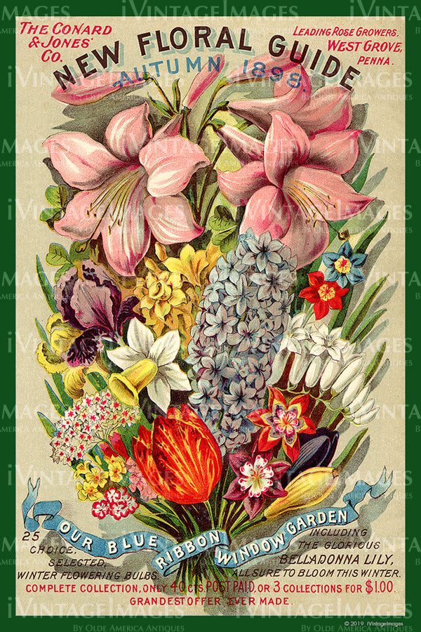 Conard Jones Flower Seeds 1898 - 052