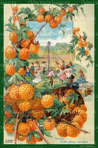 Childs May Berries 1895 - 008