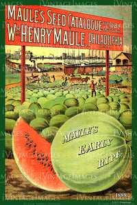 Maules Watermelons 1889 - 009