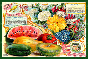 Mixed Fruit and Melons 1895 - 010