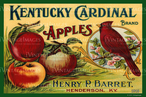 Kentucky Cardinal Apples 1915 - 016