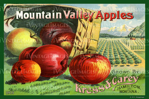Mountain Valley Apples 1915 - 017