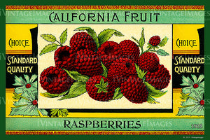 California Fruit Raspberries 1915 - 018