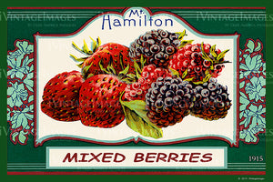 Hamilton Mixed Berries 1915 - 019