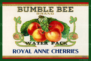 Bumble Bee Cherries 1915 - 022