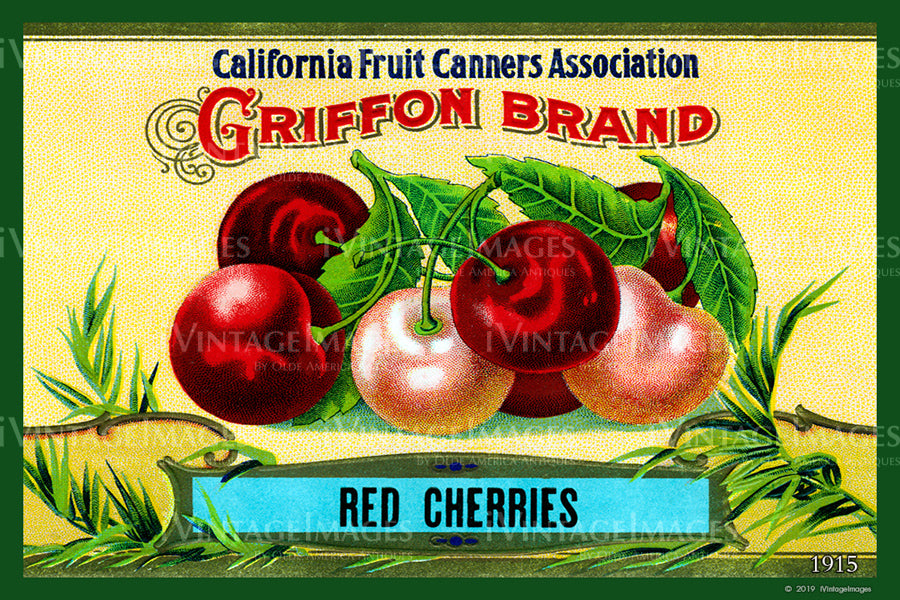 California Red Cherries 1915 - 023