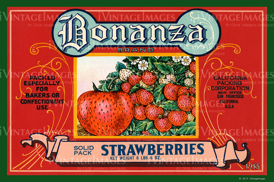 Bonanza Strawberries 1915 - 026