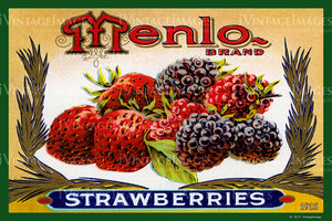 Menlo Strawberries 1915 - 028