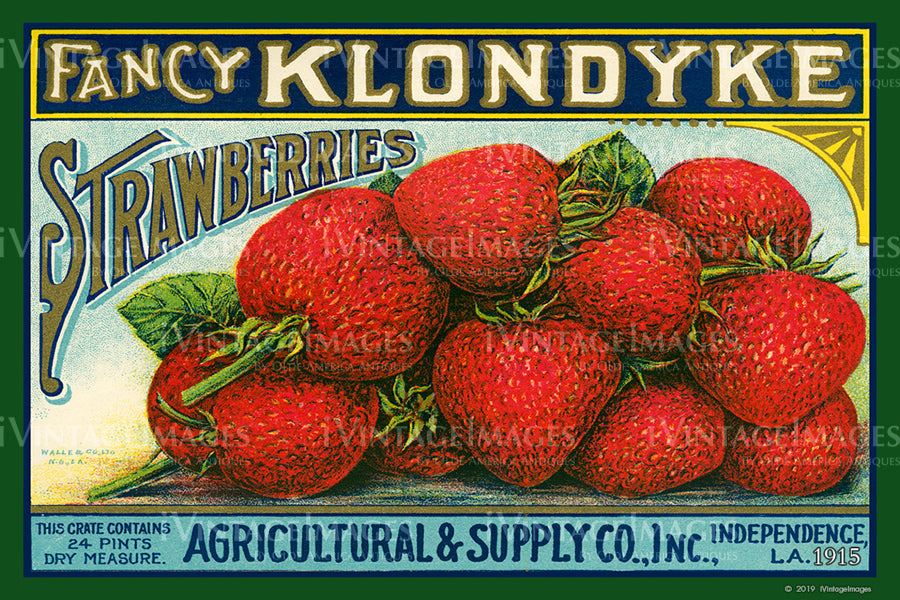 Klondyke Strawberries 1915 - 029