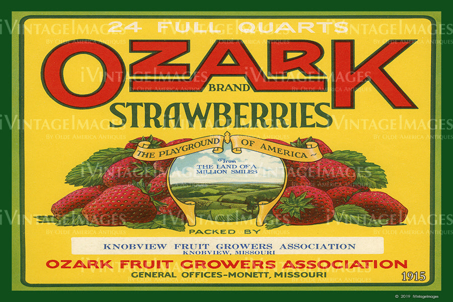 Ozark Strawberries 1915 - 033