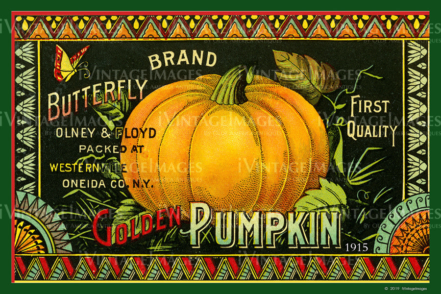 Butterfly Pumpkin 1915 - 034