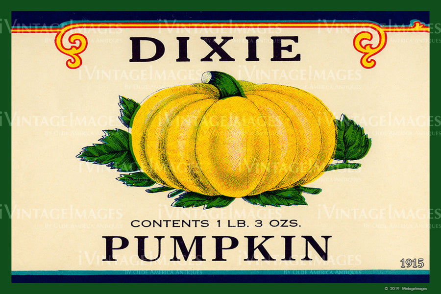 Dixie Pumpkin 1915 - 035