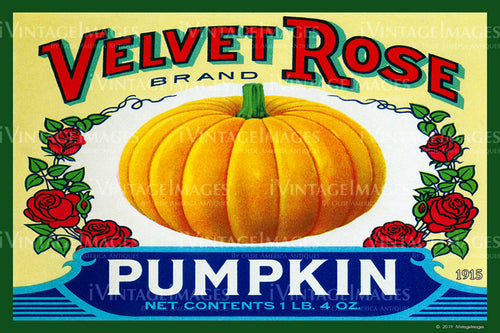 Velvet Rose Pumpkin 1915 - 036