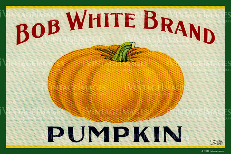 Bob White Pumpkin 1915 - 037