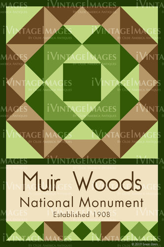 Muir Woods Quilt Block Design by Susan Davis - 61