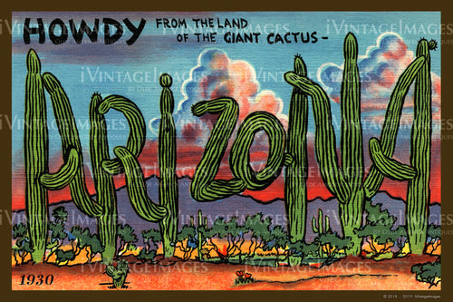 Arizona Large Letter Postcard 1930 - 004