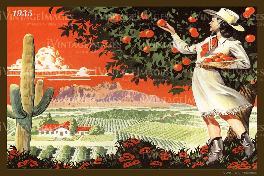 Woman Picking Fruit 1935 - 014