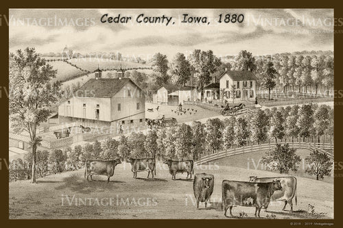 Cedar County Farm 1880 - 032
