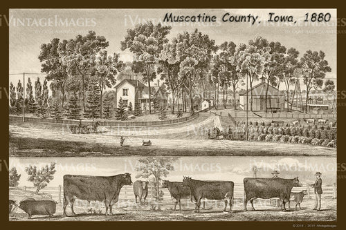 Muscatine County Farm 1880 - 033