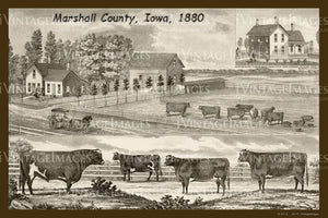 Marshall County Farm 1880 - 034