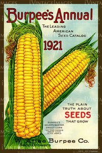 Burpees Seed Catalog 1921 - 037