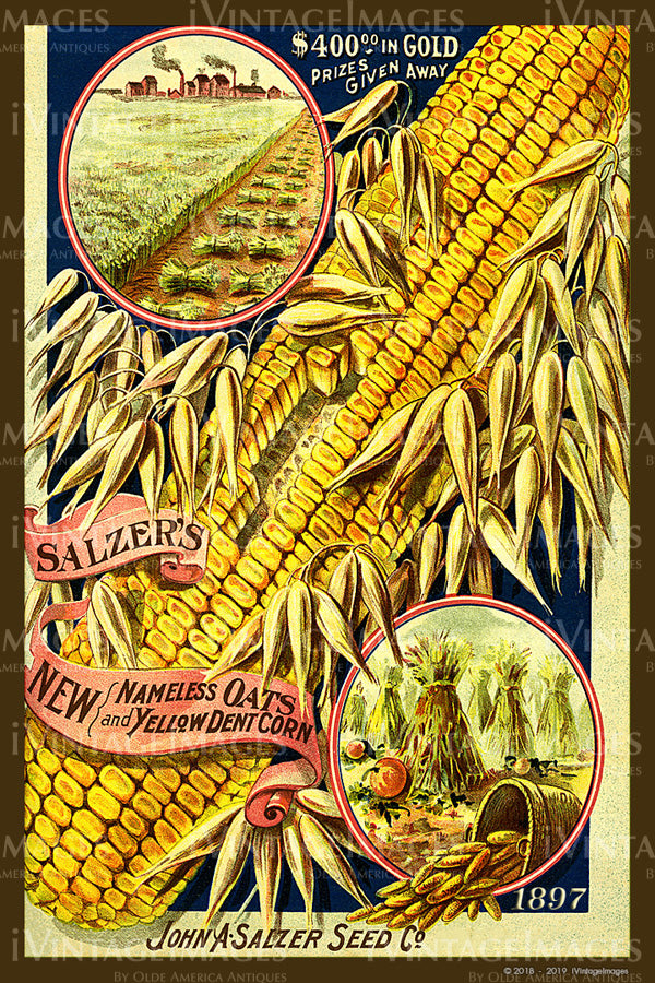 John Salzer Seed Catalog 1897 - 038