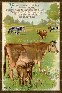 Cow and Calf 1915 - 039