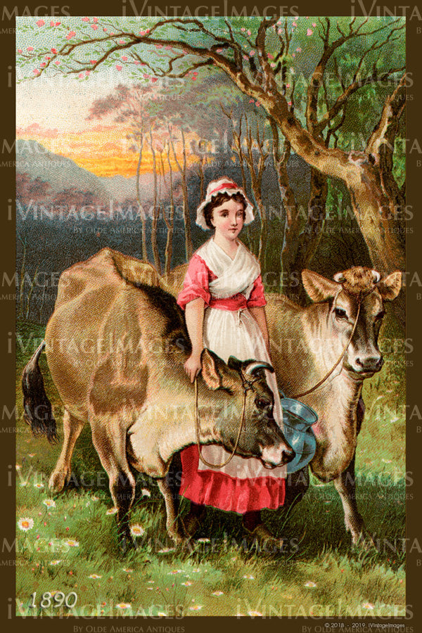 Maiden and Cows 1890 - 040