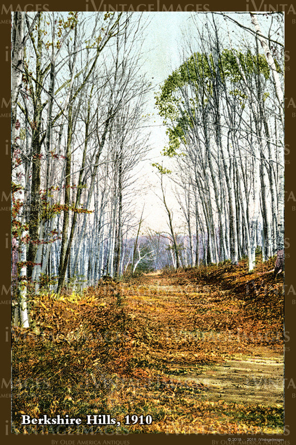 Berkshire Hills Postcard 1910- 098