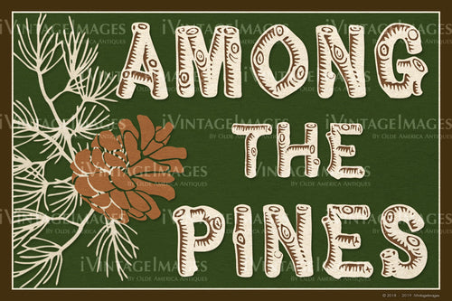 Among the Pines - 014