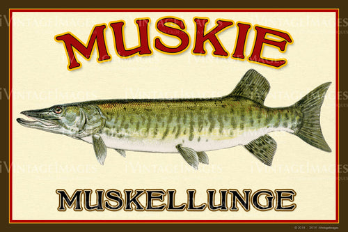 Muskie - Muskellunge - 021