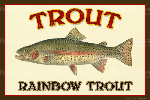 Trout - Rainbow Trout - 025