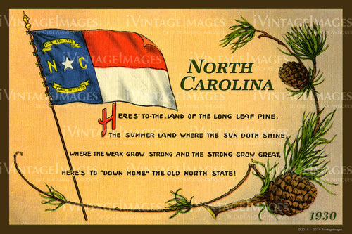 North Carolina State Flag 1930 - 026